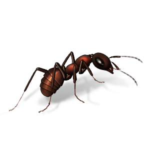 pest control services malaysia
