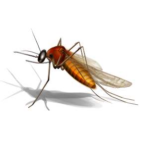 pest control services malaysia