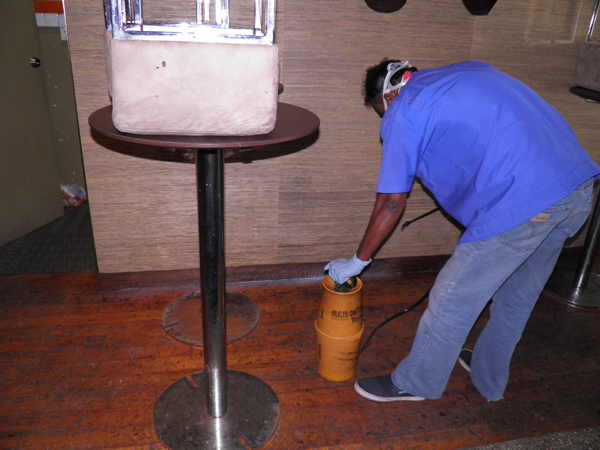 pest control services