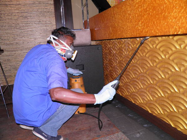 pest control services